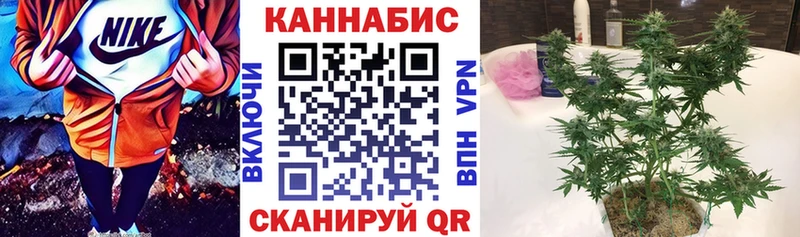 Где купить Кувшиново Каннабис  A-PVP  ГАШИШ  Псилоцибиновые грибы  Кокаин  АМФЕТАМИН 