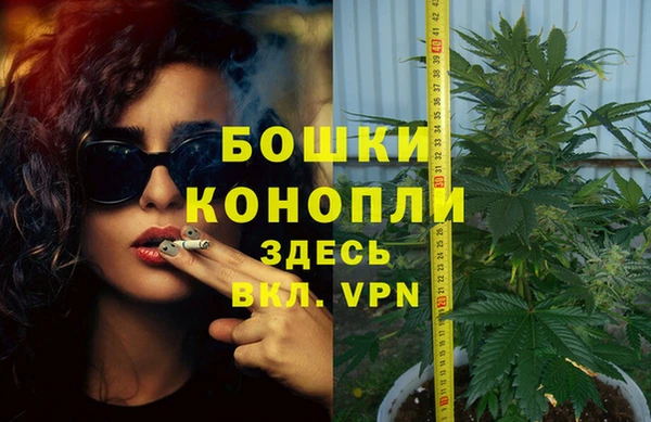 ГАЛЛЮЦИНОГЕННЫЕ ГРИБЫ Краснослободск