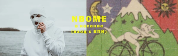 гашик Кулебаки