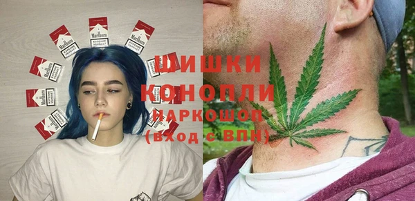 гашик Кулебаки