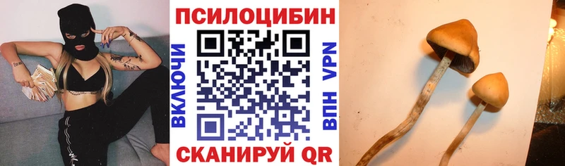 купить наркотики сайты Кувшиново Галлюциногенные грибы GOLDEN TEACHER